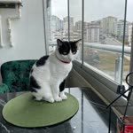 Koksal