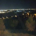Halim