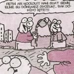 Emir