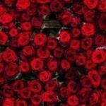 Aysun