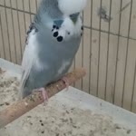 Yusuf