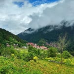 Mücahit