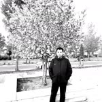 Şahidin