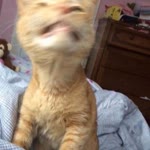 Zafer