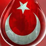 Halit