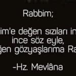 İbo