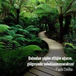 Çiğdem