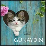 Ayçin