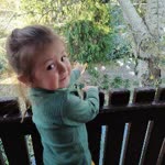 Sibel