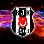 Yiğit