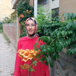 Hatice