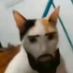 Ömer