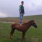 Mehmet