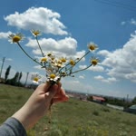 Özlem