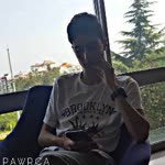 Amir