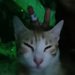 Gizemnur