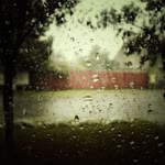 Nihal