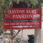 Haydar