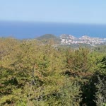 Anıl