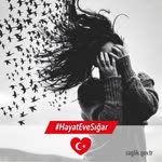 Aysun