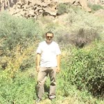 Süleyman