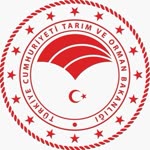 Yüksel