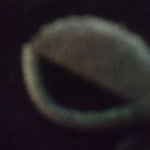 Davut
