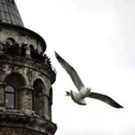 Alper