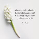Nur