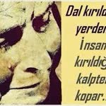 Arzu