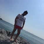 Şahin