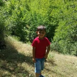 Faysal