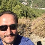 Vedat