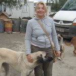 Ayşen