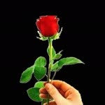 Ridvan