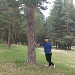 Taha