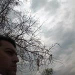İsmail