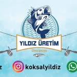 Köksal