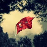 Kartal