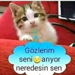Nihal