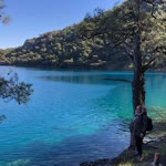 Ayşegül