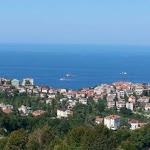 İlyas