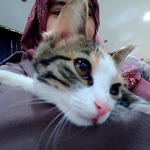Beyza