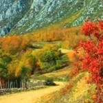 Cihan