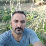 Serdar