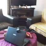 Tolga