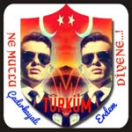 Erdem