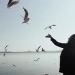 Öznur