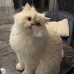 Nisan