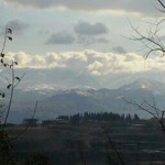 Bekir